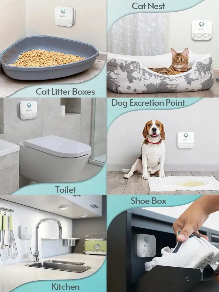 PetopiaPawMart™ DownyPaws Smart Cat Odor Purifier For Cat Litter Box